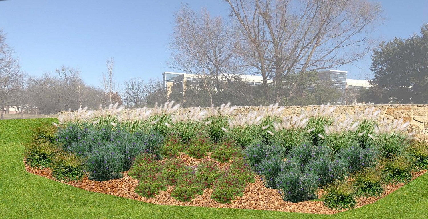 The 12 Best DroughtTolerant Plants For Dallas, Texas